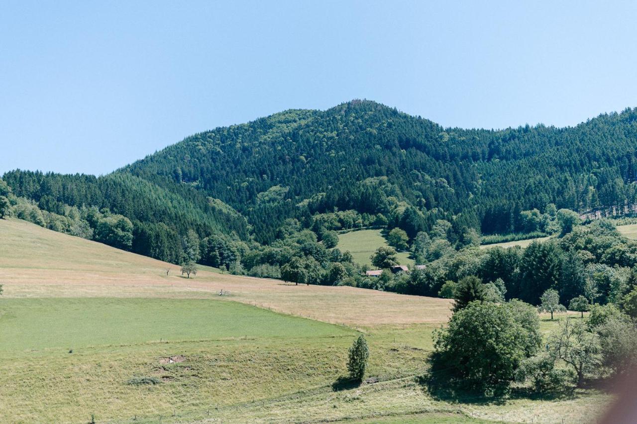 Moderne 2 Zi.-Fewo Blackforest Art Barrierefrei Naehe Freiburg Simonswald Extérieur photo